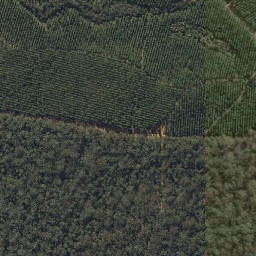 Satellite imagery of Mount Beerwah, AU