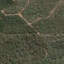 Satellite imagery of Mount Beerwah, AU