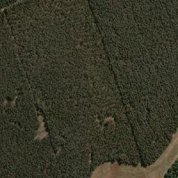 Satellite imagery of WILDRAND, MZ
