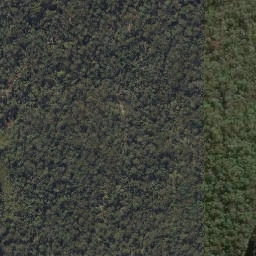 Satellite imagery of Mount Beerwah, AU