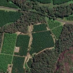 Satellite imagery of Mount Ngungun, AU