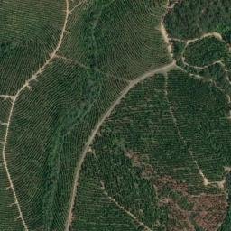 Satellite imagery of Mount Tibberoowuccum, AU