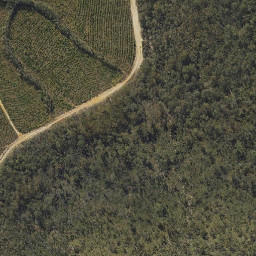 Satellite imagery of Mount Tunbubudla, AU