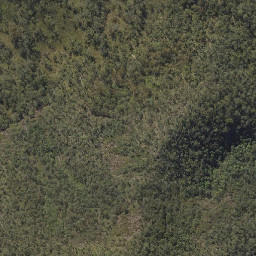 Satellite imagery of Mount Tunbubudla, AU