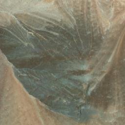 Satellite imagery of Cerro Paipotito, CL
