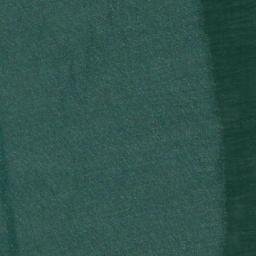 Satellite imagery of Possession Island, NA