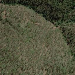 Satellite imagery of Ringbarked Hill, AU