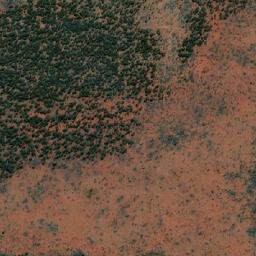 Satellite imagery of Point Williams, AU