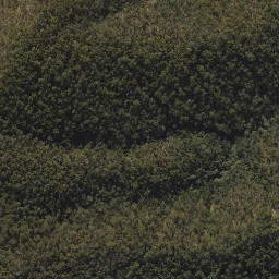 Satellite imagery of The Bulls Knob, AU