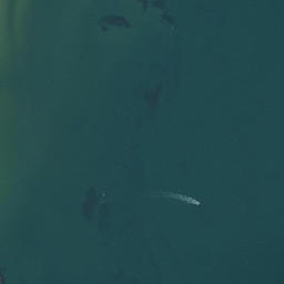 Satellite imagery of Scott Point, AU