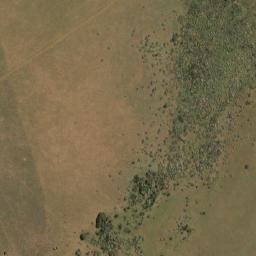 Satellite imagery of THORNGROVE, NA