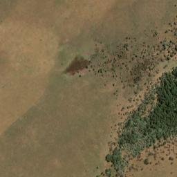 Satellite imagery of THORNGROVE, NA