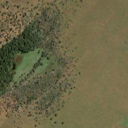 Satellite imagery of THORNGROVE, NA
