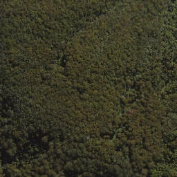 Satellite imagery of Tenison Woods Mountain, AU