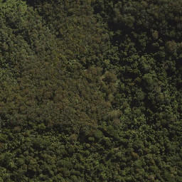 Satellite imagery of Tenison Woods Mountain, AU