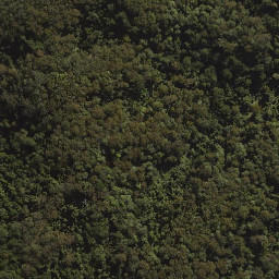 Satellite imagery of Tenison Woods Mountain, AU