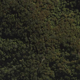 Satellite imagery of Tenison Woods Mountain, AU
