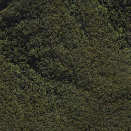 Satellite imagery of Mount Nebo, AU