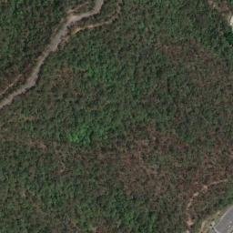 Satellite imagery of Mount Coot-tha Park, AU
