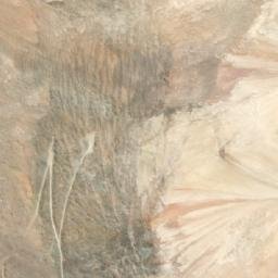 Satellite imagery of Cerro Bayo, CL