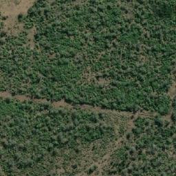 Satellite imagery of Mount Wyangapinni, AU