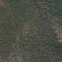 Satellite imagery of Mount Willes, AU