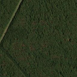 Satellite imagery of Cerrito Yeruá, AR