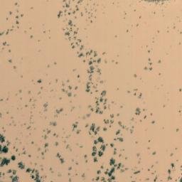Satellite imagery of Callamurra, AU