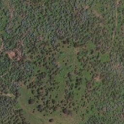 Satellite imagery of Paddy Point, AU