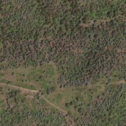 Satellite imagery of Paddy Point, AU