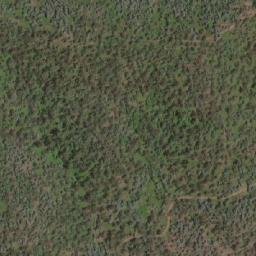 Satellite imagery of Paddy Point, AU
