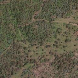 Satellite imagery of Paddy Point, AU