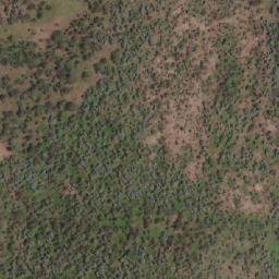 Satellite imagery of Paddy Point, AU