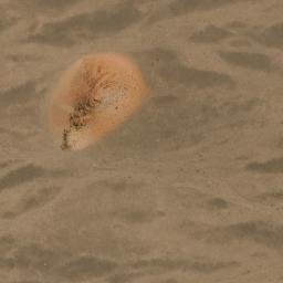 Satellite imagery of Cerrito Solo, AR