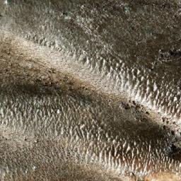 Satellite imagery of Cerro Veladero, AR