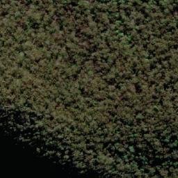 Satellite imagery of Point Pure, AU