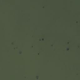 Satellite imagery of Sandy Point, ZA