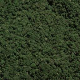 Satellite imagery of Bare Rock, AU