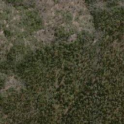 Satellite imagery of Pine Hill, AU