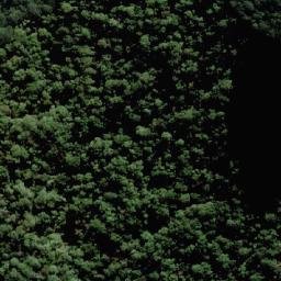 Satellite imagery of Cunninghams Gap, AU