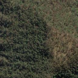 Satellite imagery of Mount Witheren, AU