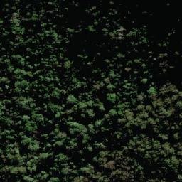 Satellite imagery of Mount Mitchell, AU