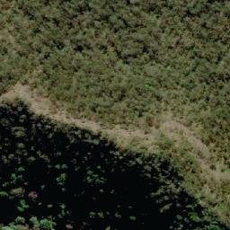 Satellite imagery of Spicers Peak, AU