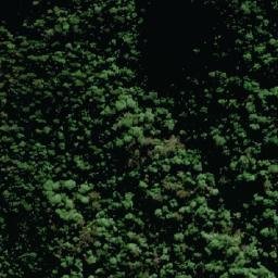 Satellite imagery of Spicers Peak, AU