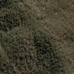 Satellite imagery of Mount Gammie, AU