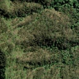 Satellite imagery of Mount Asplenium, AU