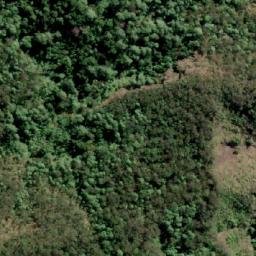 Satellite imagery of Mount Asplenium, AU