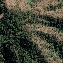 Satellite imagery of Mount Nelson, AU