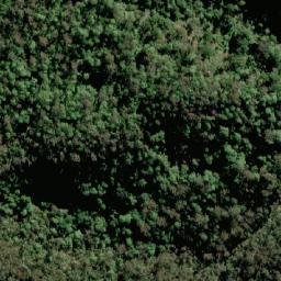 Satellite imagery of Sentinel Point, AU