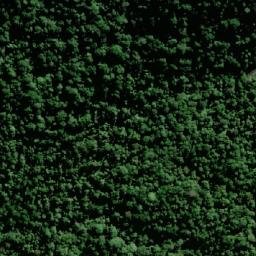 Satellite imagery of Mount Steamer, AU